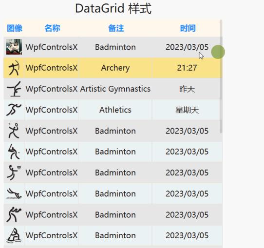 Wpf wxdatagrid 