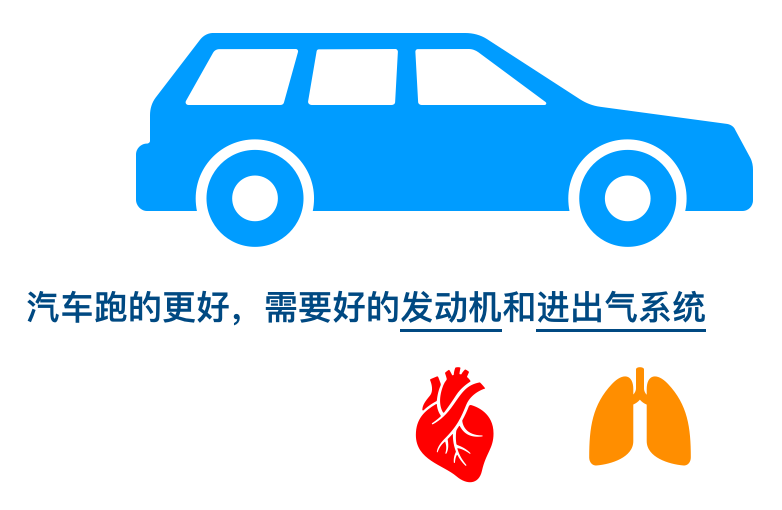 v2-e9f98be1fe656db5a4ecea4962255d5c_1440w.jpg?source=172ae18b