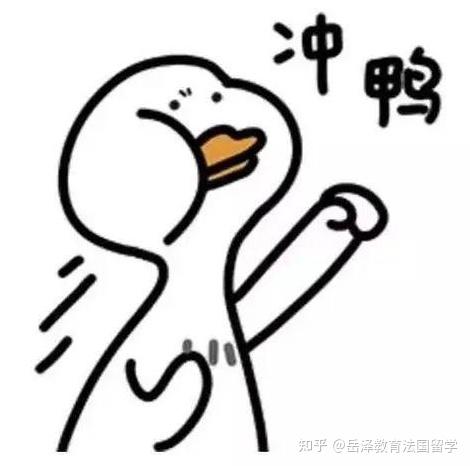知乎