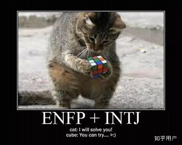 ENFP和INTJ相处起来怎么样？ - 知乎