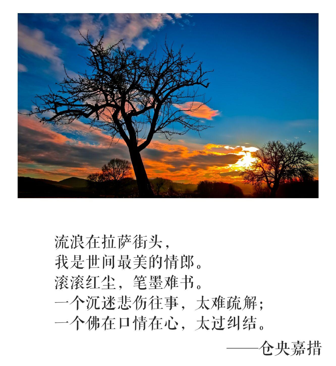 78曾虑多情损梵行,入山又恐别倾城.世间安得双全法,不负如来不负卿.