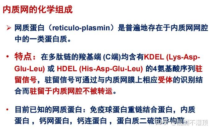 细胞质基质与内膜系统 - 知乎