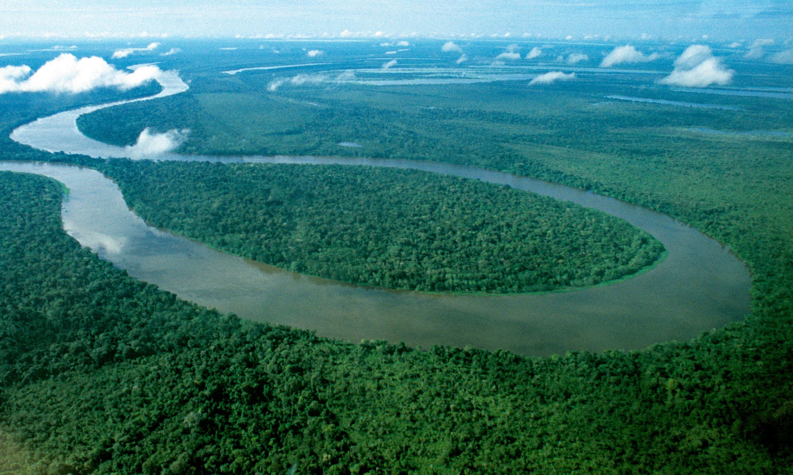 tiva do brasil拉丁美洲最大国家,有广袤的亚马逊雨林金砖国家之一