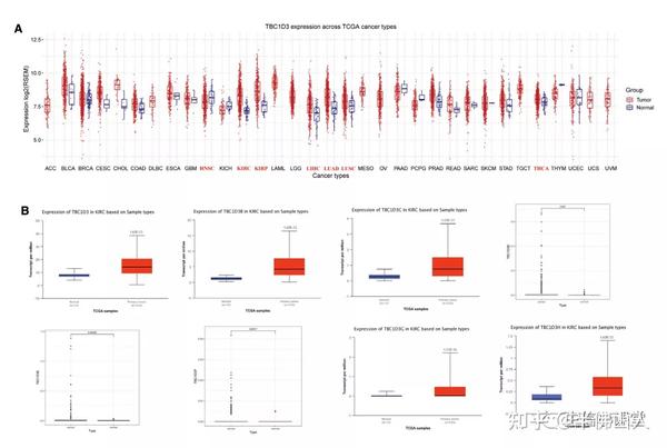 7.2分基因家族单肿瘤分析，就这？ - 知乎