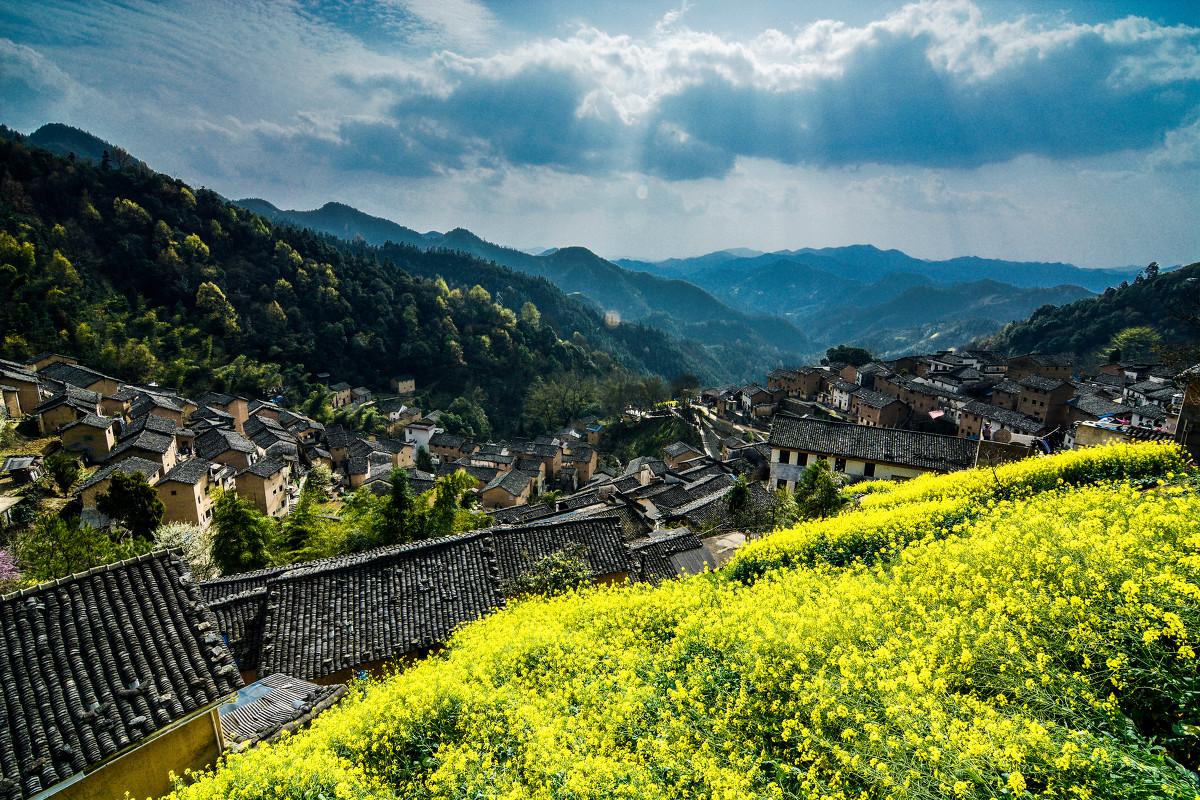 盘点国内15大最美油菜花海观赏地 - 知乎