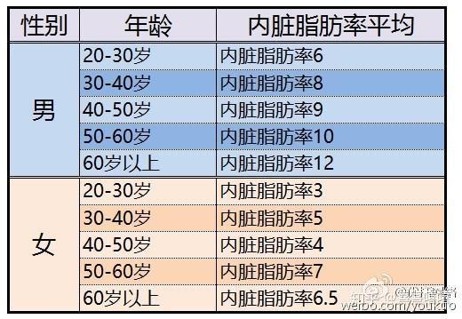 如何判断自己是否内脏脂肪超标