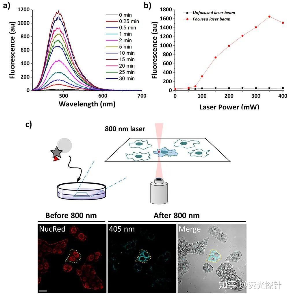 用于细胞中蛋白标记的重氮香豆素荧光探针 - 知乎
