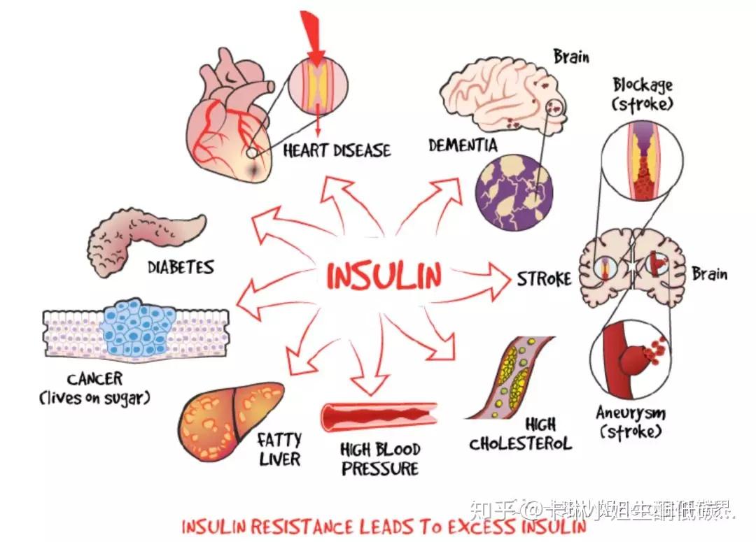 ketobasicmethnutritionabsorption生酮基本理念之营养吸收