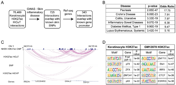 Hi-C 3.0融合CUT&Tag,表观新技术HiCUT上市! - 知乎