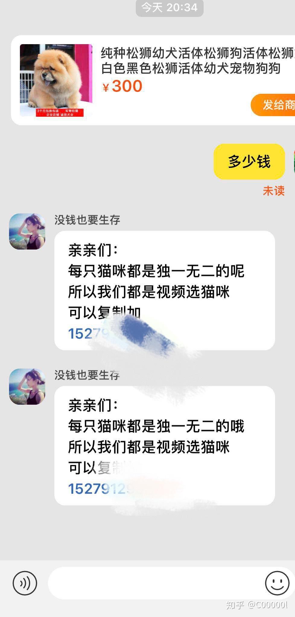 开宠物店需要具哈希娱乐- 哈希游戏平台- 哈希游戏官方网站备什么条件？