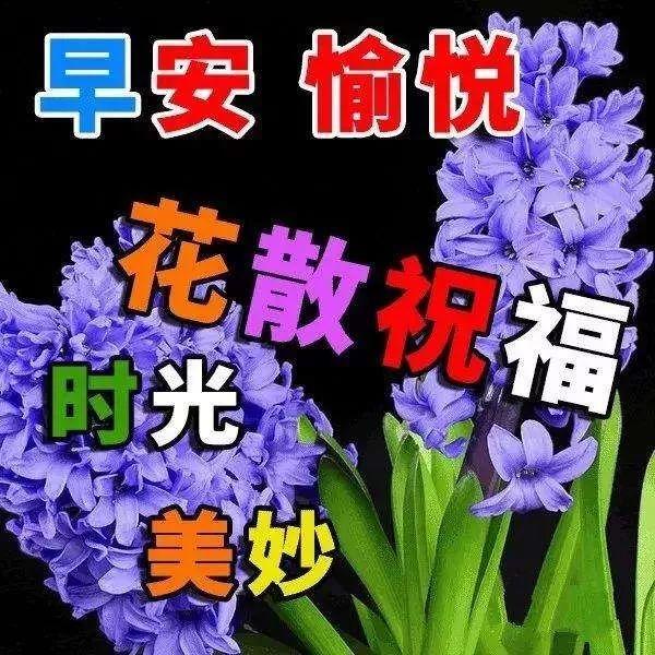 早安问候祝福语动态图片带字