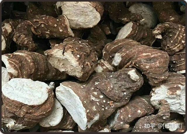 重楼的功效与注意事项 - 知乎