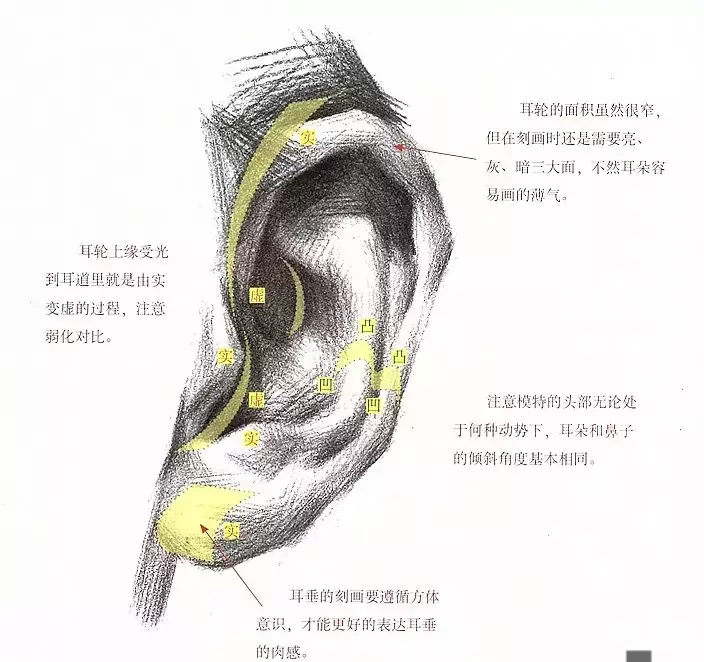五官教程:动漫局部—耳朵结构篇 - 知乎