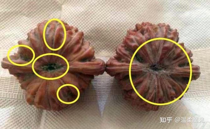温柔魔鬼聊文玩核桃|我的核桃底空了怎么办?封脐!