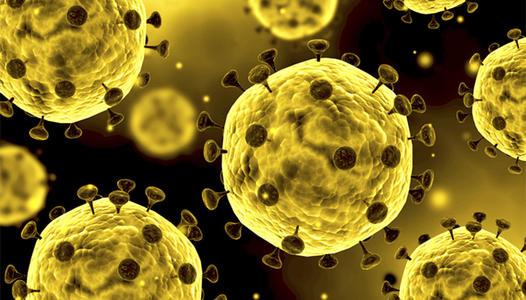 v2-ea5d8cc3180a103c53d3102f8105706b_1440w.jpg?source=172ae18b