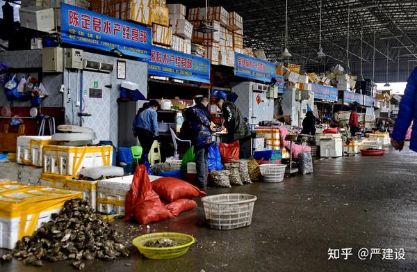 宁波市区海鲜批发市场
