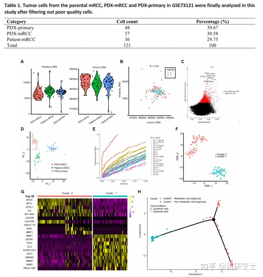 基于单细胞测序验证肾透明细胞癌转移相关基因可作为预后标志物(if:5.