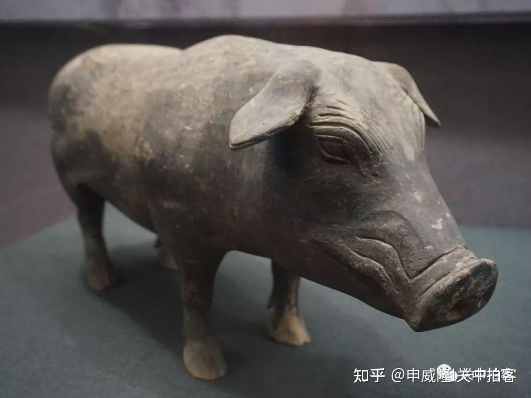 陕西各大博物馆的“猪”文物- 知乎