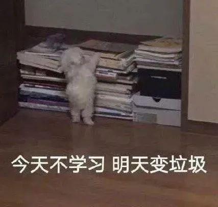分享一些适合老师们督促学生读书的表情包,无印良品!自取~ - 知乎