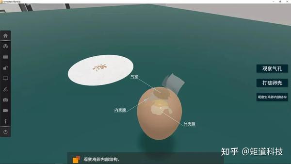 【初中生物】《鸟的生殖和发育》章节的教学设计怎么做? - 知乎