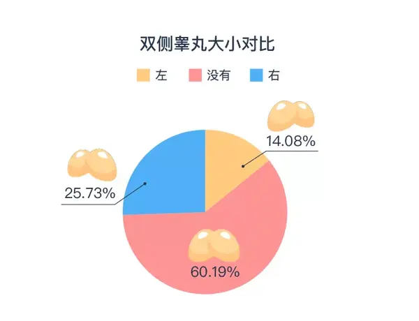 研究丨为什么睾丸左右高低各不同(附中国男性生殖健康图鉴)