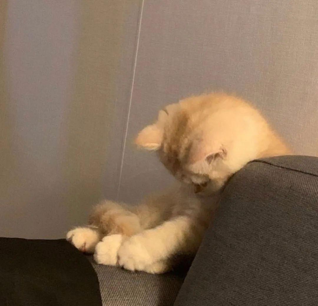 130张超好看的微信头像-好看微信头像男2021