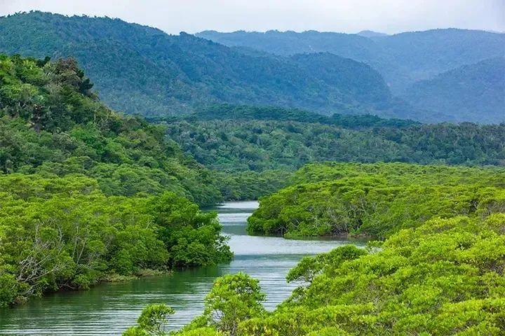 日本世界遺產,承包你接下來的所有旅行計劃~ - 知乎