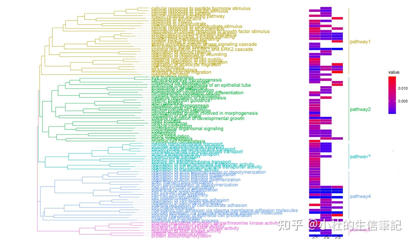 多组差异基因富集分析结果聚类 | 获得共表达term的富集图 - 知乎