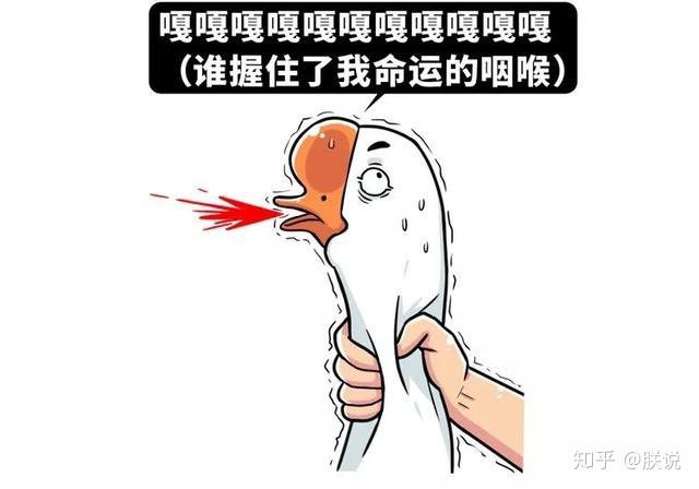 命运扼住了我的咽喉!