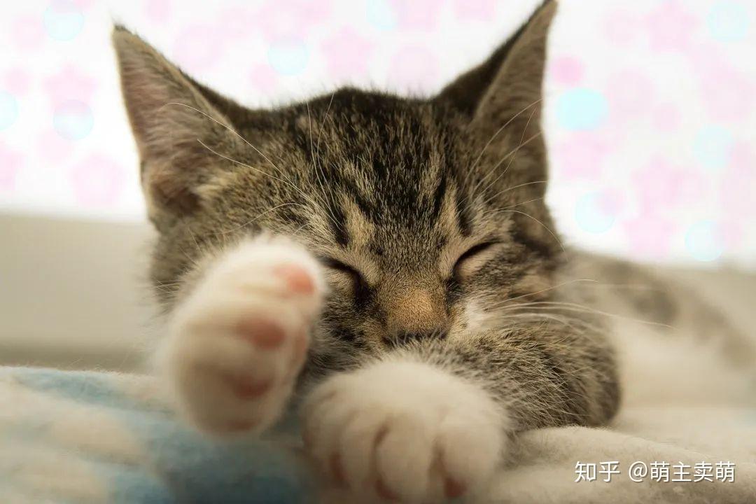 v2-eb10cd9d6c2332689fe00bb461ed385e_r.jpg