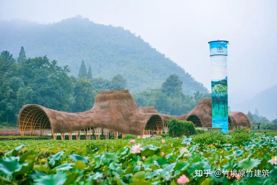 竹建筑“花海竹廊” 竹境设计施工一体化 - 知乎