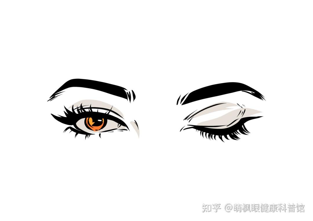 人为什么会眨眼,多久眨一次眼算正常?