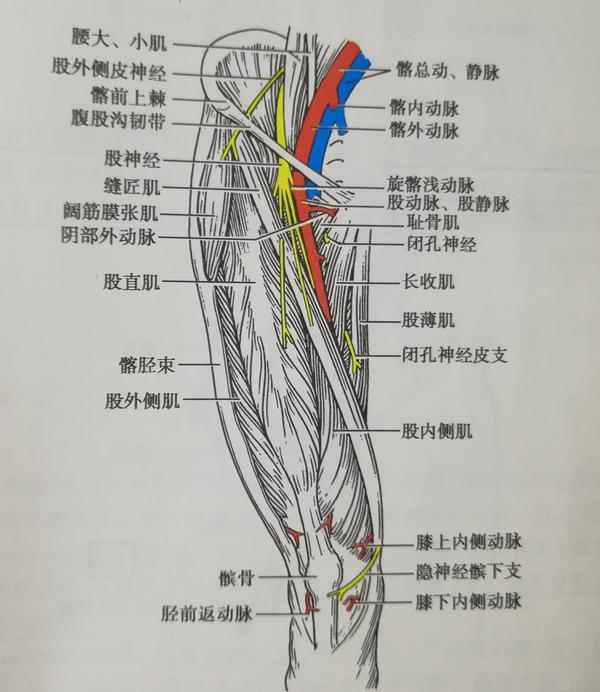 股三角 知乎