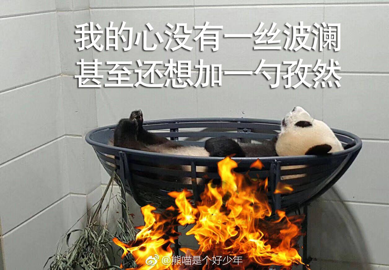 如何评价东北大学进入双一流B类?