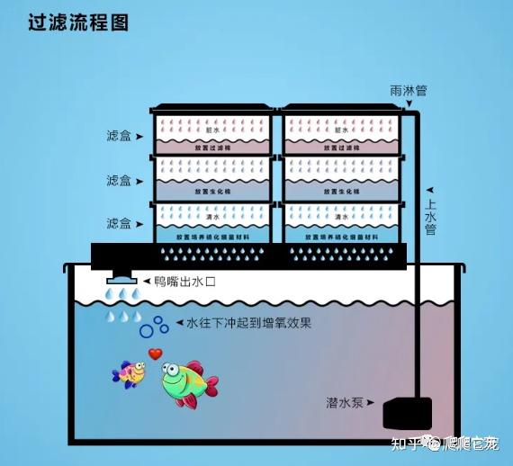 过滤盒的上层为物理过滤层,主要摆放的滤材有过滤棉,生化棉,蛋白棉;而