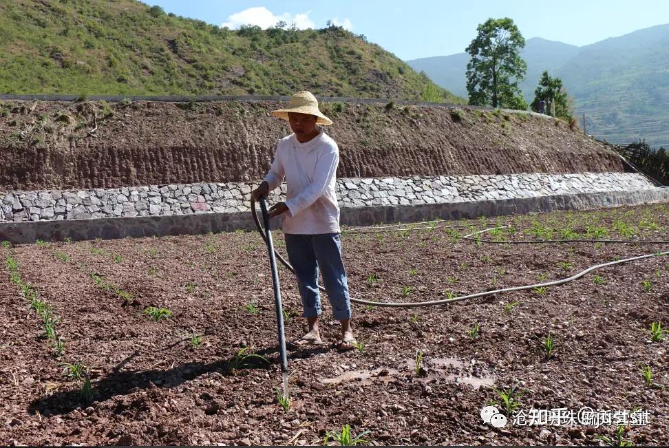 不用电水泵提(抽)水设备破解新华“结构性缺水”难题 - 知乎
