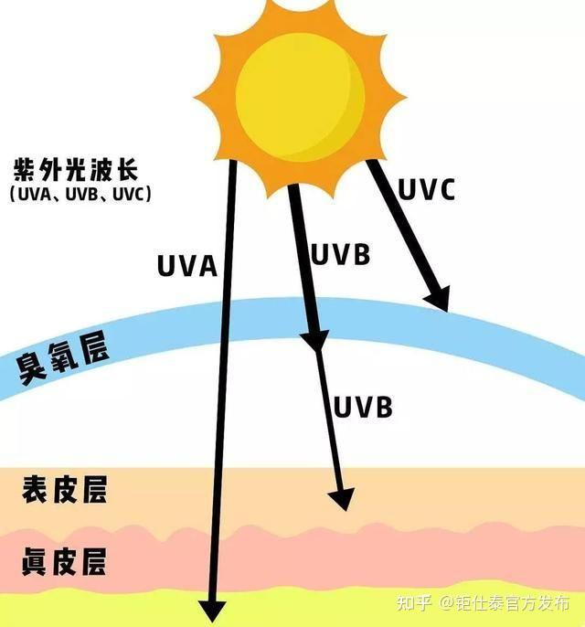 太阳光不同波段的作用及其利用 - 知乎