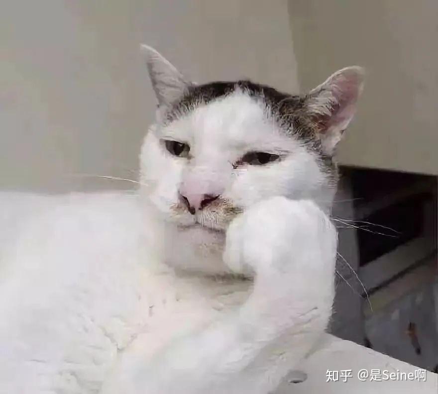 周围的杠精都是怎么抬杠的