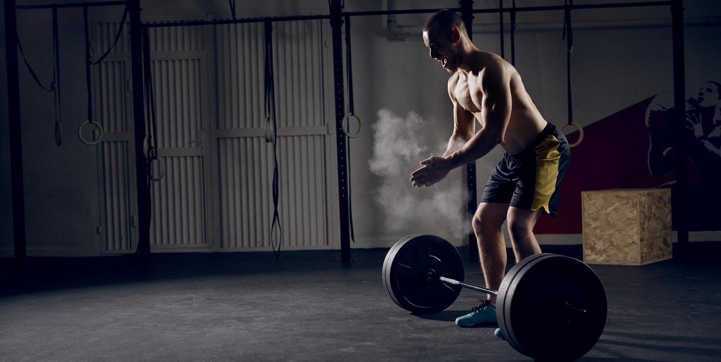 海豚音怎么练最好 v2-eb596dacff8deb3324a6199823b942a7_1440w.jpg?source=172ae18b