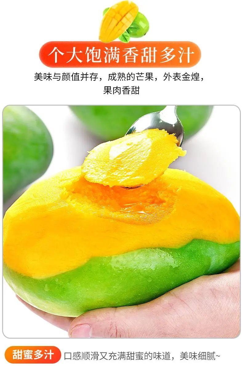 广西百色大青芒499元包邮送到家个大饱满肉厚多汁