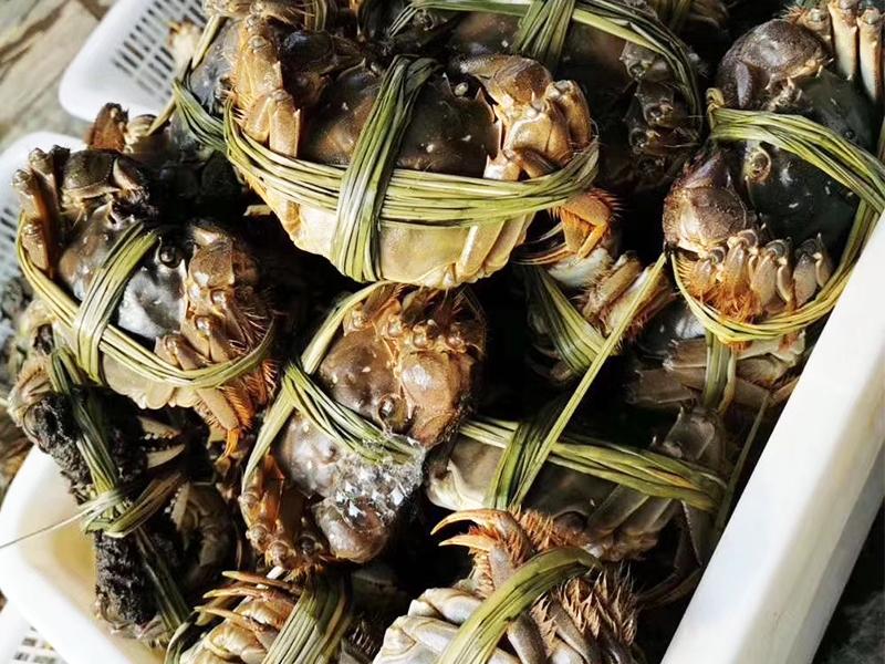 选择蟹束阁就是选择正宗固城湖大闸蟹