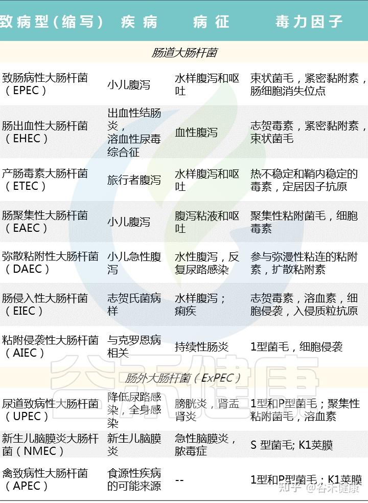 細菌大盤點大腸埃希氏菌血鏈球菌李斯特菌