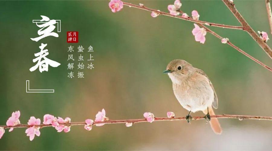 v2-eb6df750aa72517f85ee0e7df4a5815d_1440w.jpg?source=172ae18b