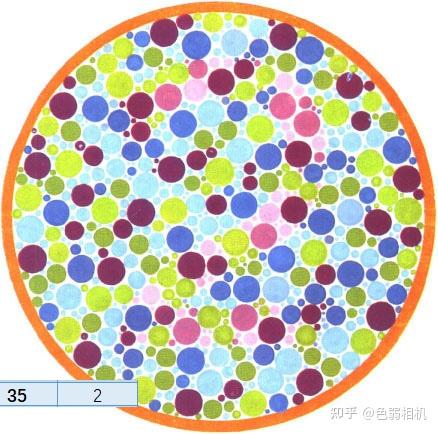 色弱测试图及答案 王克长第二版 驾考,体检,征兵专用