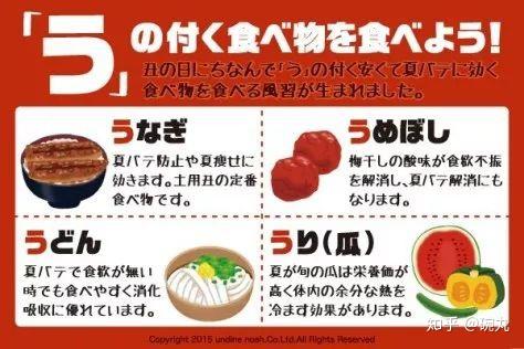 日本鳗鲡 土用丑日 我偏不吃鳗鱼 知乎