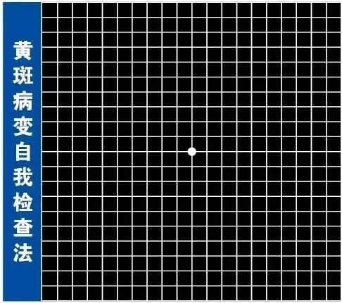 此黄斑非彼黄斑!