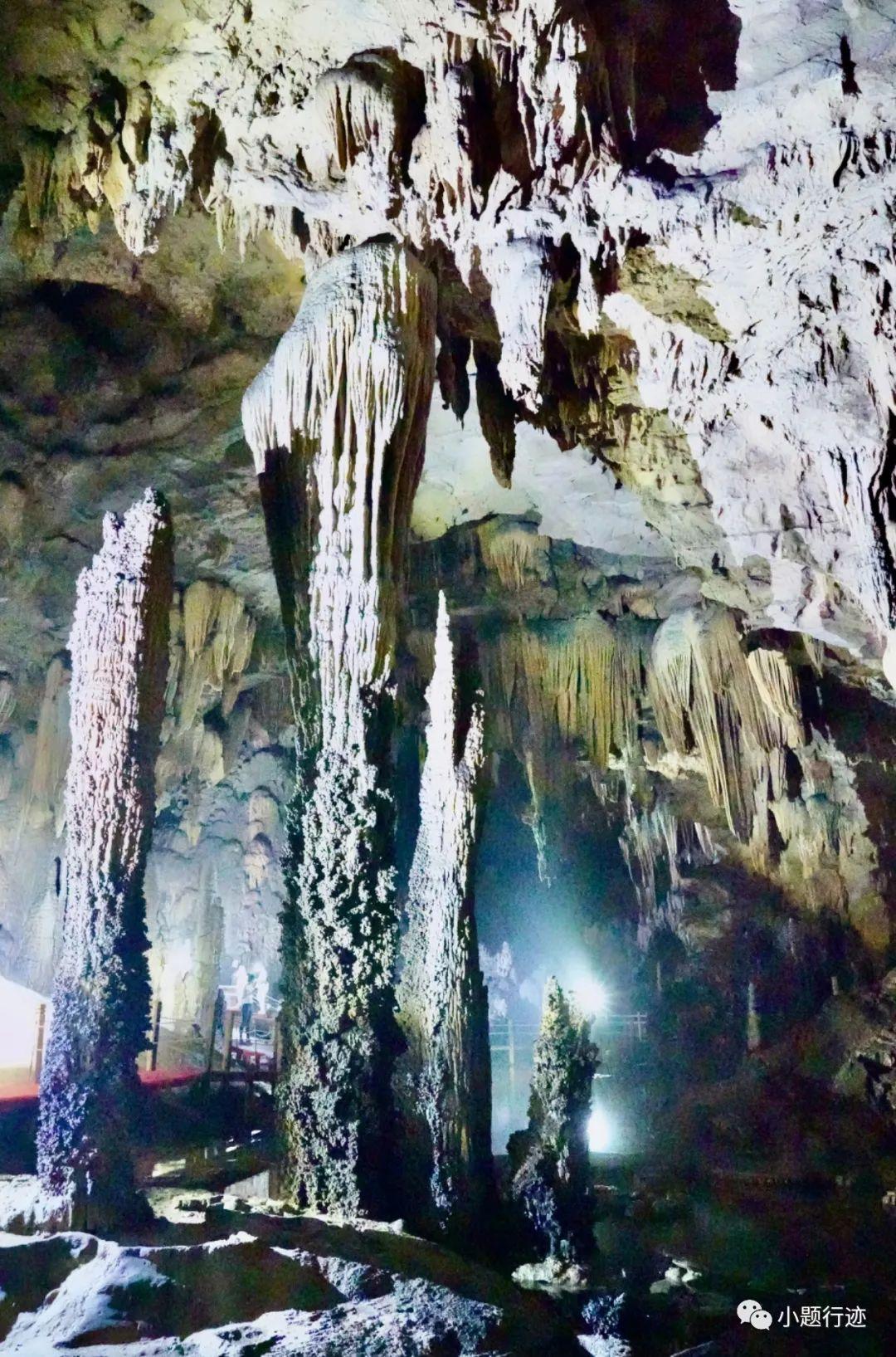 中国最美十大森林之贵州荔波茂兰自然保护区，世界喀斯特森林的原始自然本底 - 知乎