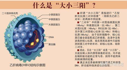 大三阳会不会传染 知乎
