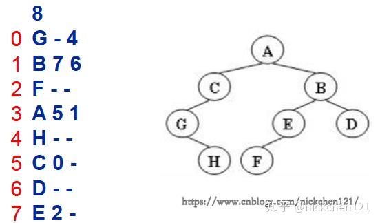 小白专场树的同构python语言实现
