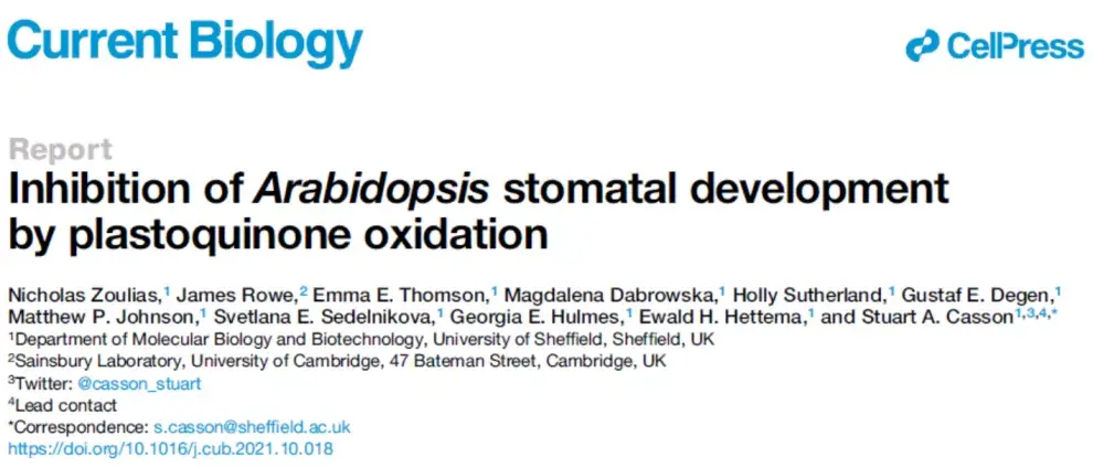 current biology在線發表了題為inhibition of arabidopsis stomatal